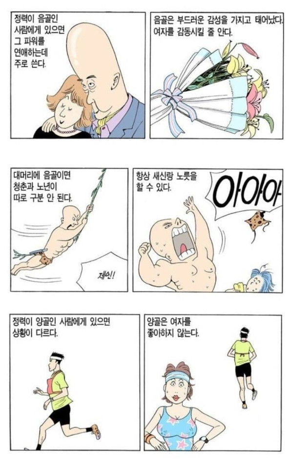 관상가가 보는 대머리의 특징