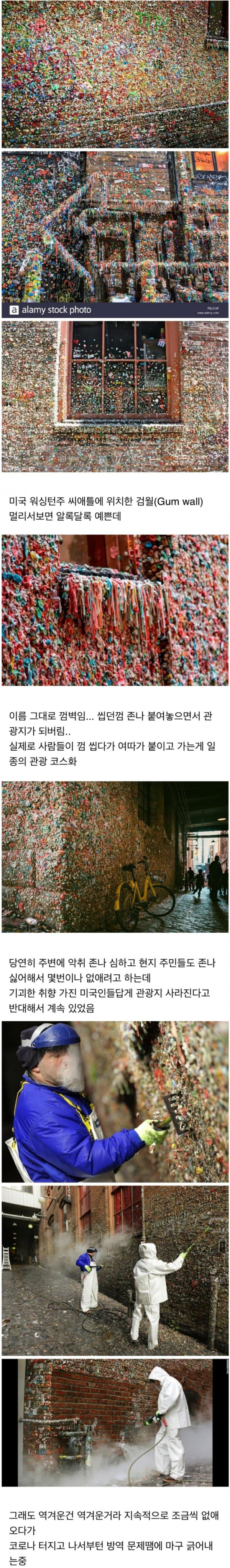 역겨운 미국관광지